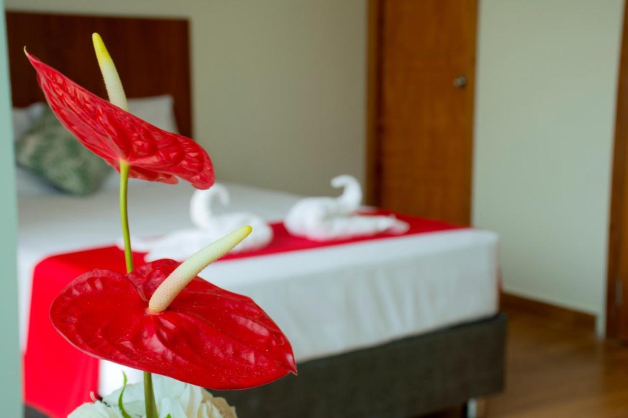 Hotel La Palmera De Oro Тарапото Екстер'єр фото